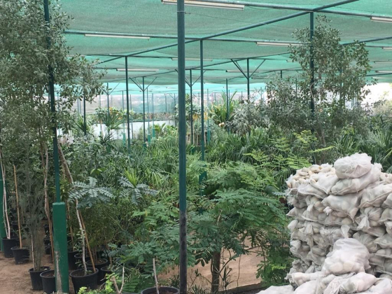 Gardener"s