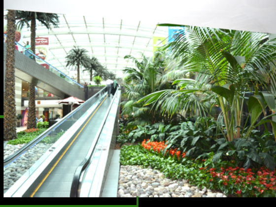 Al Siji Green House