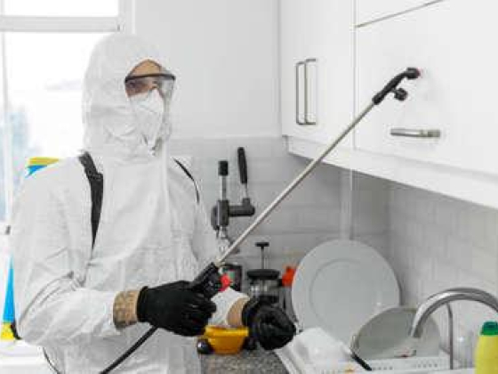 Al Najma Al Fareeda Bldg And Pest Control