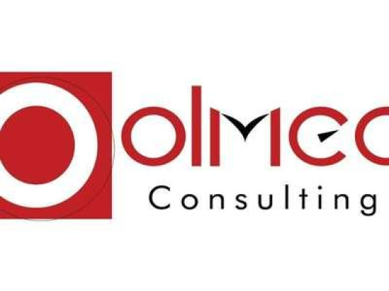 Olmec Consulting