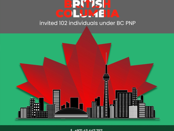 Dm Immigration Consultants