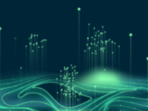SHL ​Service