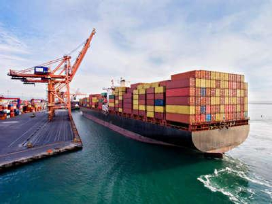 Mohammad Sharifati Shipping & Cargo