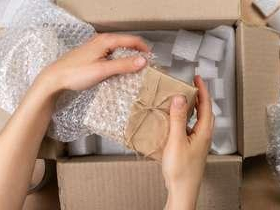 Eleanor Cargo Packing