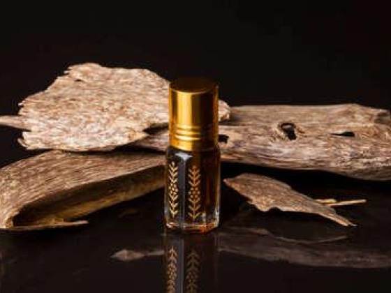 Al Yousef Perfume Trading