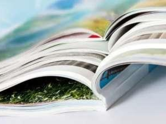 LTSY Advertising & Publishing