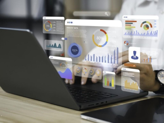 Kuvera Consulting