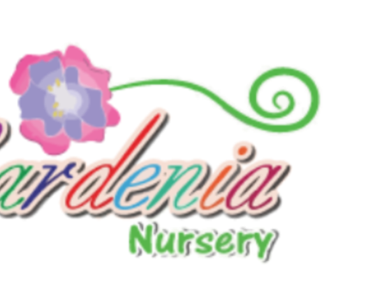 Gardenia