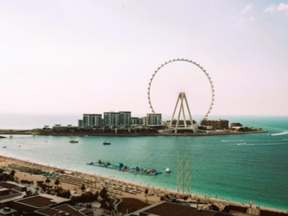 White Sky Travel and Tourism