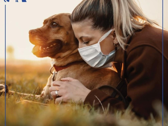 Amity Veterinary Clinic