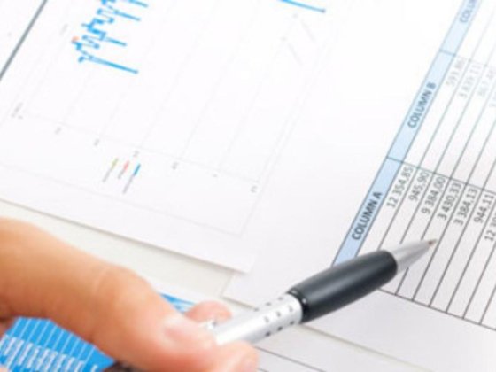 Mca Auditing