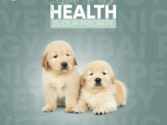 Petology Vet Clinic & Pet Shop