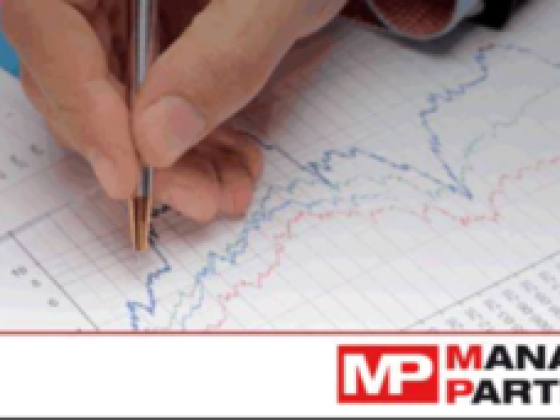 Management Partners Consultants