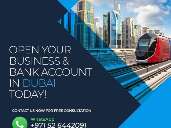 Business Setup Consultants