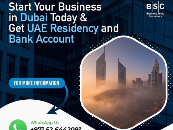 Business Setup Consultants