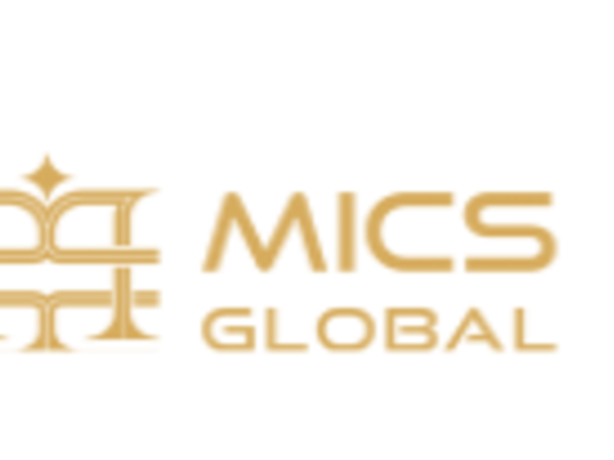 Mics Global Visa Services