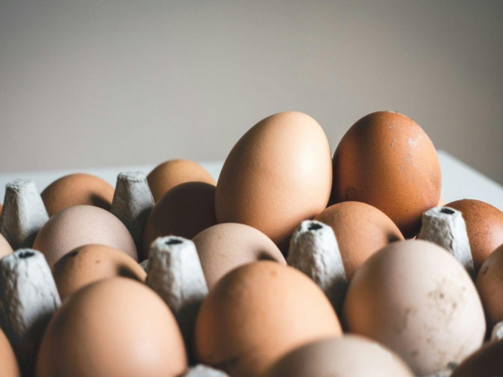 Beida & Sous Poultry Trading
