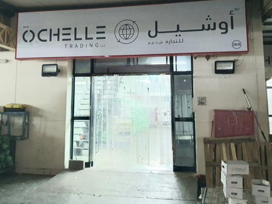 New Ochelle Trading