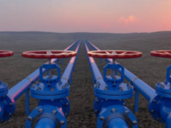 Natural Diesel Fuel Trading