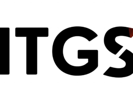 I T G Documents & Data Verification Services
