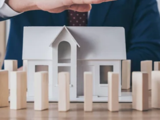 Vvs Real Estate