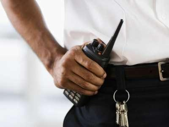 Aliyas General Security Services