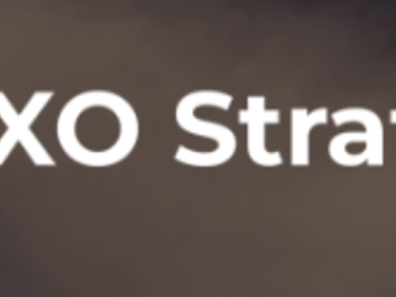 Cxo Direct Marketing Management