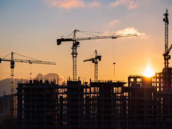 Sree Dhanya Construction