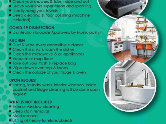 Damas Star Cleaning Services