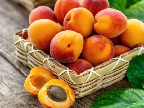 Minbaladeh Foodstuff Trading