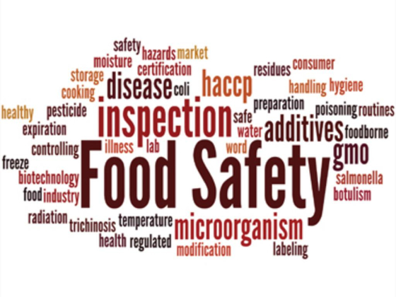 Protocol Food Consultancy
