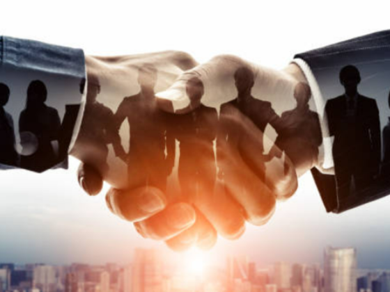 Bgrs Global Consultants (sirva)