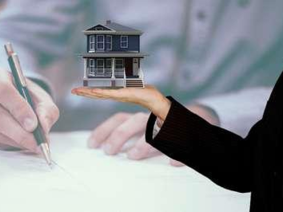 Wise Global Real Estate