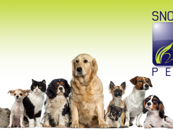 Snoopy Pets Relocation Services