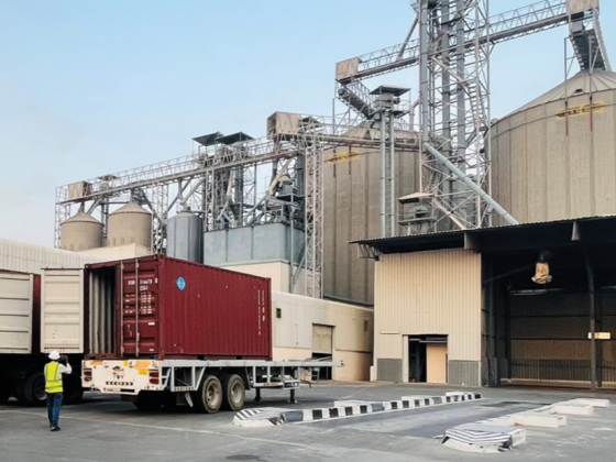 IMGS Terminals