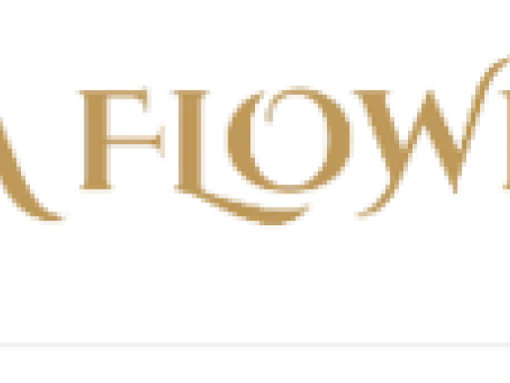 Aiwa Box Flower