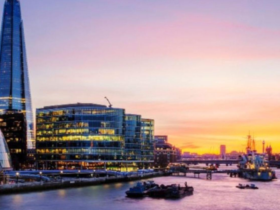 Ace Luxury Immigration Solutions