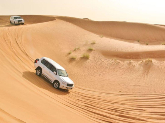 Alward Al Abyad Tours
