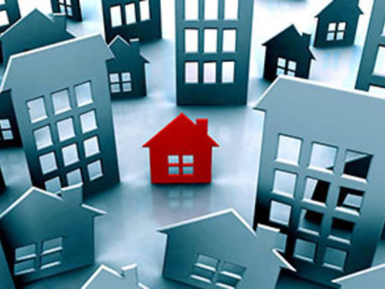 Legacy Real Estate Brokers