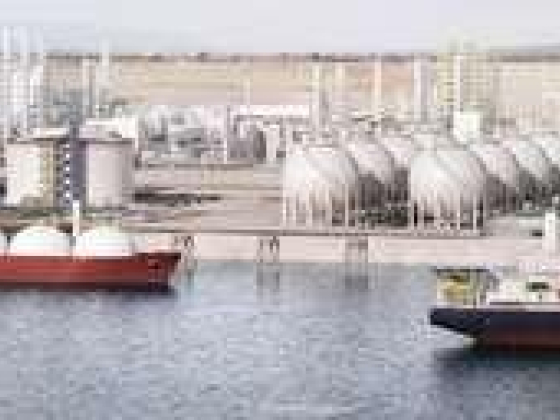 Marcus Petrochem Trading