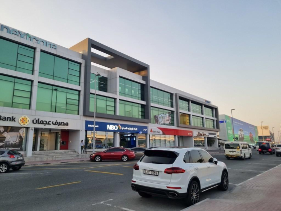Arab Gulf Health Services L.l.c