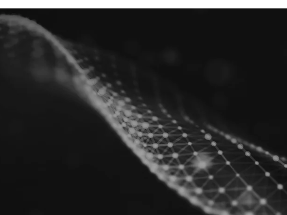 Salt Technology Services