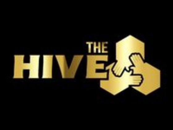 Hive Marketing Consultancy
