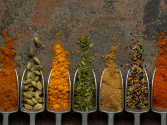 Friedrich Food Concept