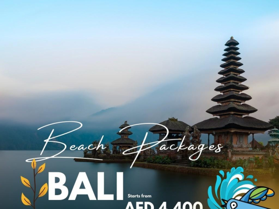 I Book Holiday