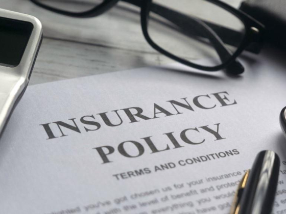 Momentum Insurance Agents