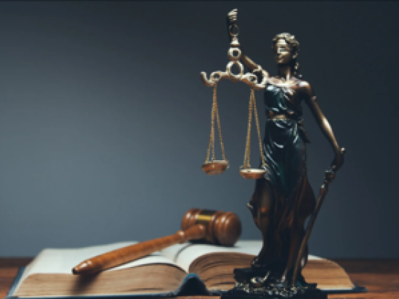 Adnan Obaid Al Shaali Advocates & Legal Consultants