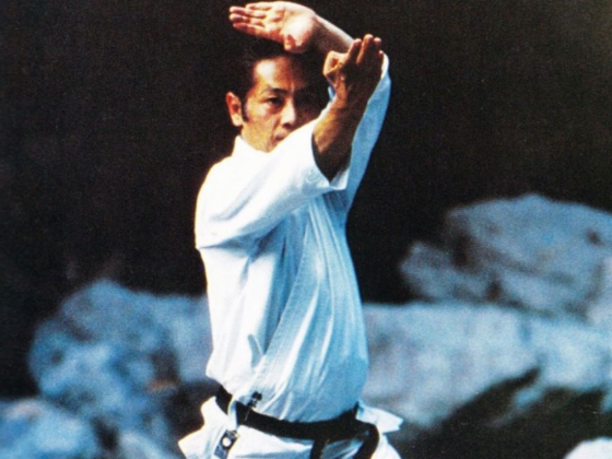 Premier Martial Arts Club