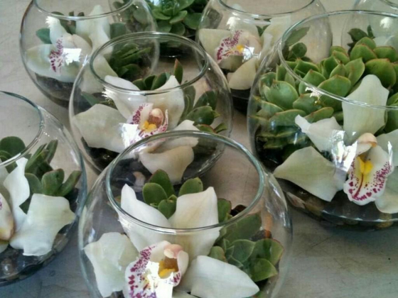 Royal Bloom Flowers