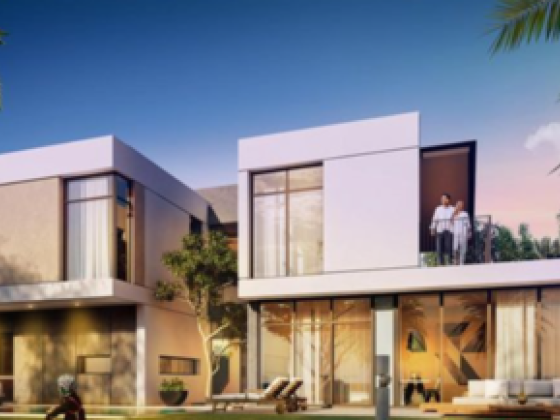 Alita ​real Estate